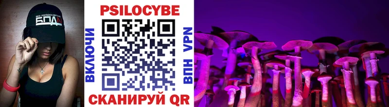 Купить где  Верхотурье  Галлюциногенные грибы Psilocybine cubensis 